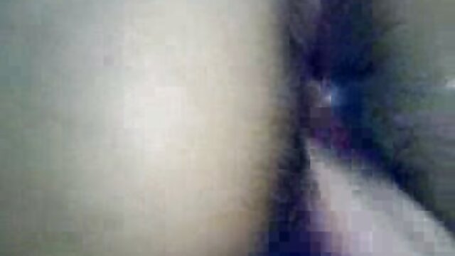 Sexo sem registo  O bonitinho vira-se contra um novo vídeo de pornô ao vivo cliente.