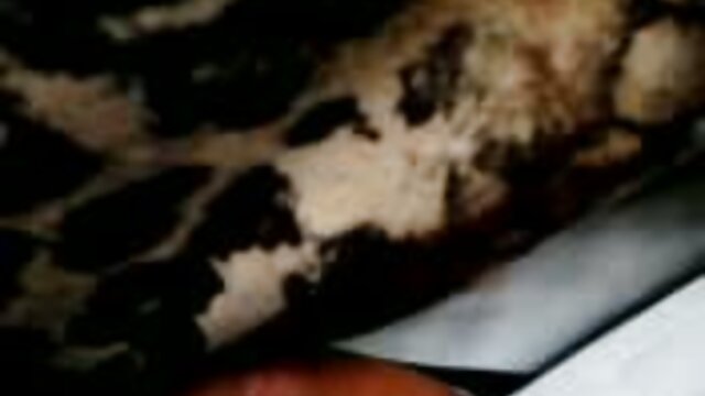 Sexo sem registo  A loira filme pornô vídeo pornô bonita na rata fica com Pila